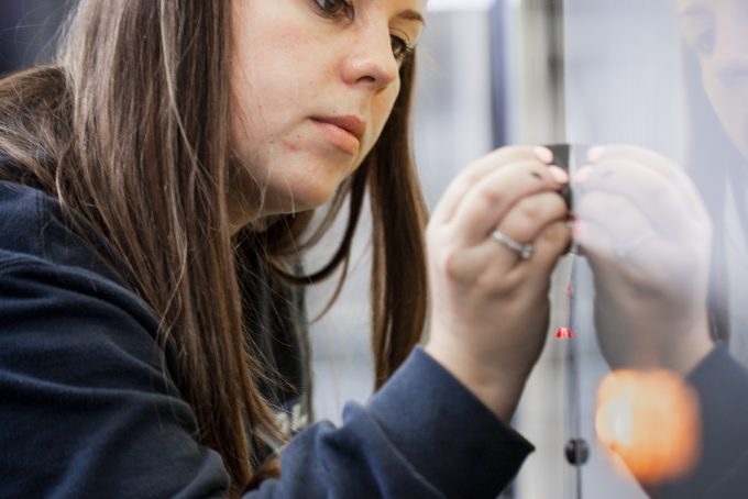 Severinelacante VDL251 A9843