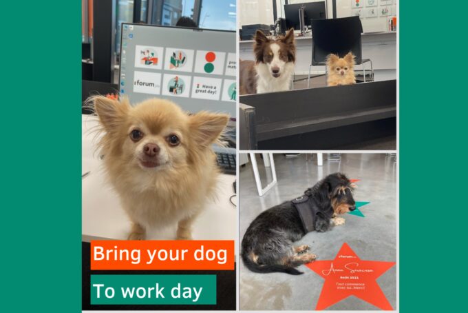 Bring your dog to work-day